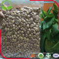 China Cheap Dried Bitter Apricot Kernels Price